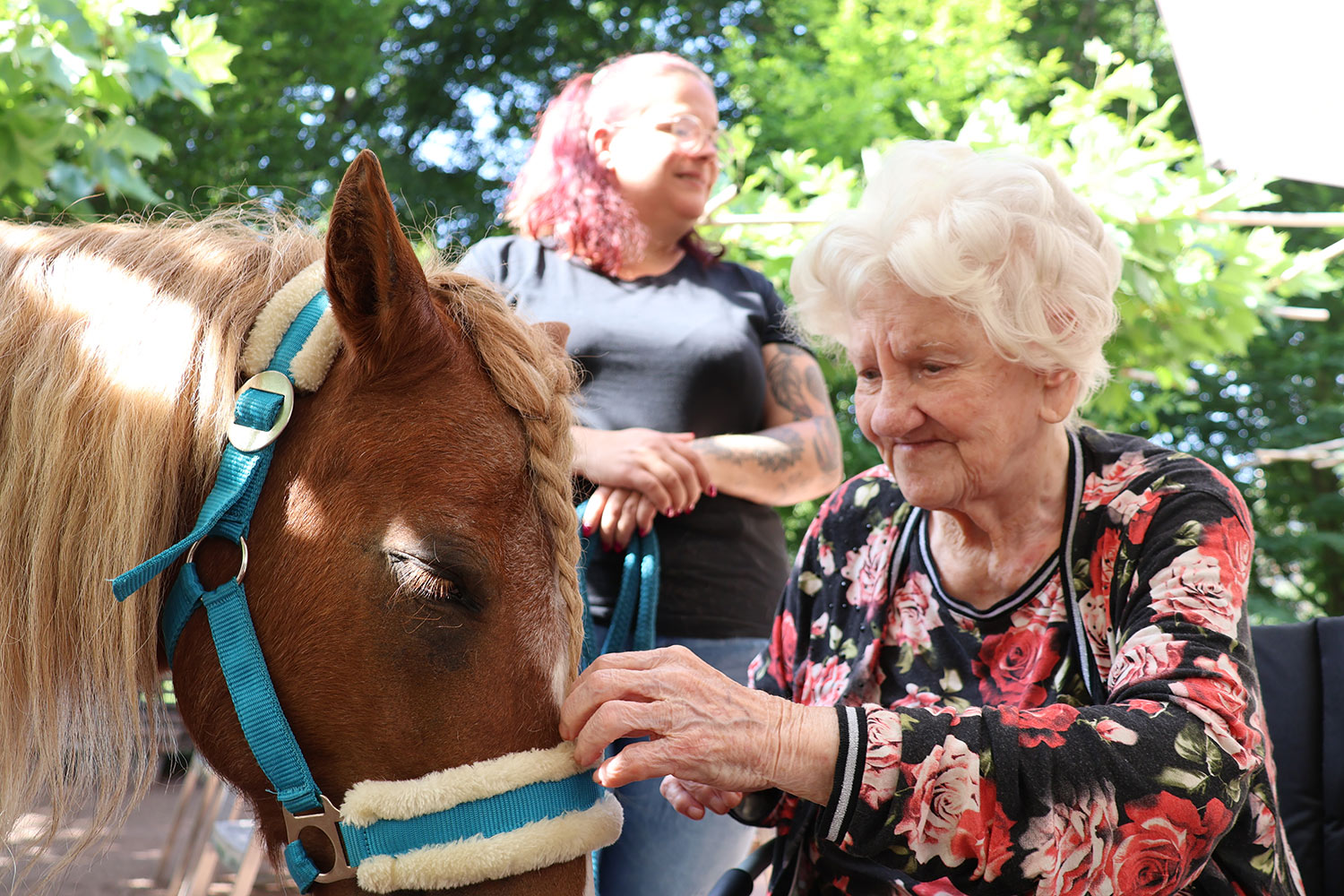 Seniorengruppe bei der Alltagsgestaltung mit Pony