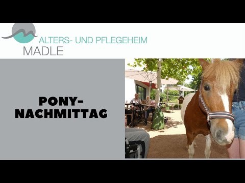 Ponys zu Besuch 2022