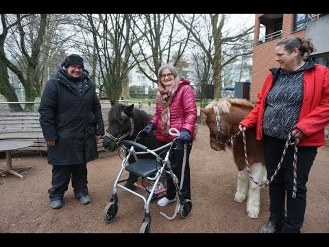 Tiere zu Besuch im Madle 2023